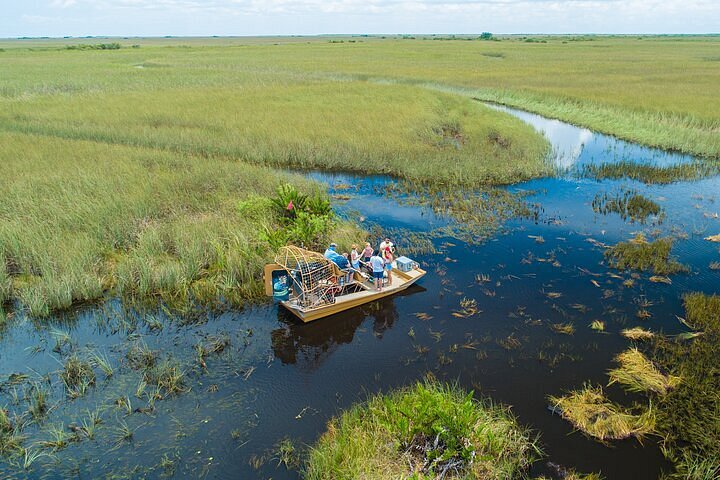Complete Guide To An Everglades Tour