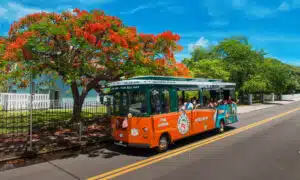 Make The Most Of Your Key West Day Trip