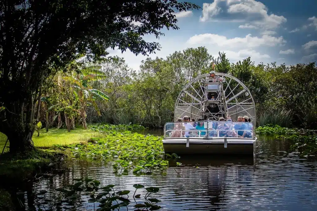 the everglades Sunny Miami Tours